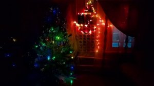 С ЯРОСЛАВОМ НАРЯДИЛИ ЁЛОЧКУ