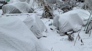 На даче 27 декабря