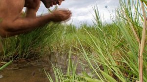 Эд Стаффорд: Голое выживание 2 сезон 7 серия (документальный сериал, 2013)