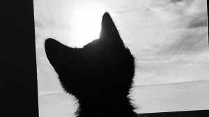 Нашли 2 алмаза в храме в майнкафт с братом