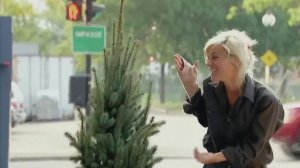 Юмор - "Удобрение для ёлки"