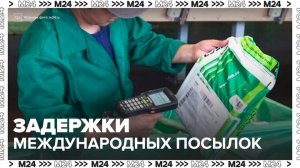 Логистические компании сообщили о значительных задержках международных посылок - Москва 24