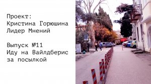 Иду на Вайлдберис за посылкой • Выпуск №11 • Проект: Кристина Горюшина Лидер Мнений