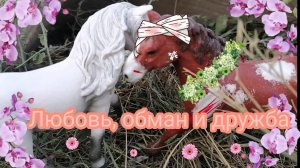 Мини - фильм : "любовь, обман и дружба"
Шляйх видео (лошади)