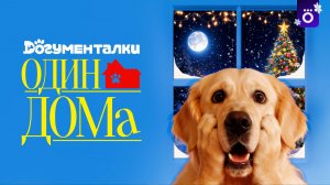 Догументалки. Один дома - Трейлер