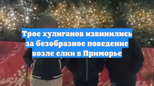 Трое хулиганов извинились за безобразное поведение возле елки в Приморье