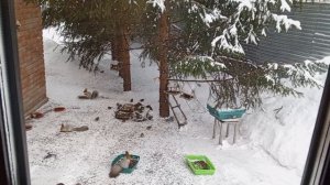 обед в мороз