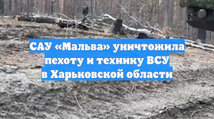 САУ «Мальва» уничтожила пехоту и технику ВСУ в Харьковской области