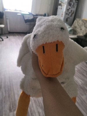 С новым 2026!!!