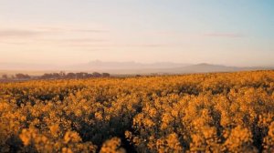 Сиротка-гадала-за-деньги-ради-лекарств-д_19