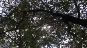 Что можно, а что нельзя... Мои личные границы / Архив от 29.08.2021