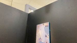 Персональная выставка художника Полины Заремба в галерее «Богородское» г. Москва