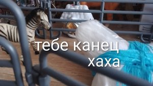 зебр лучше не обижать🦓