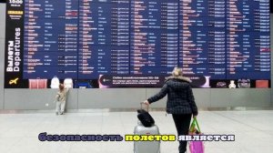 Во Внуково и Шереметьево задержали более 50 рейсов на фоне ограничений