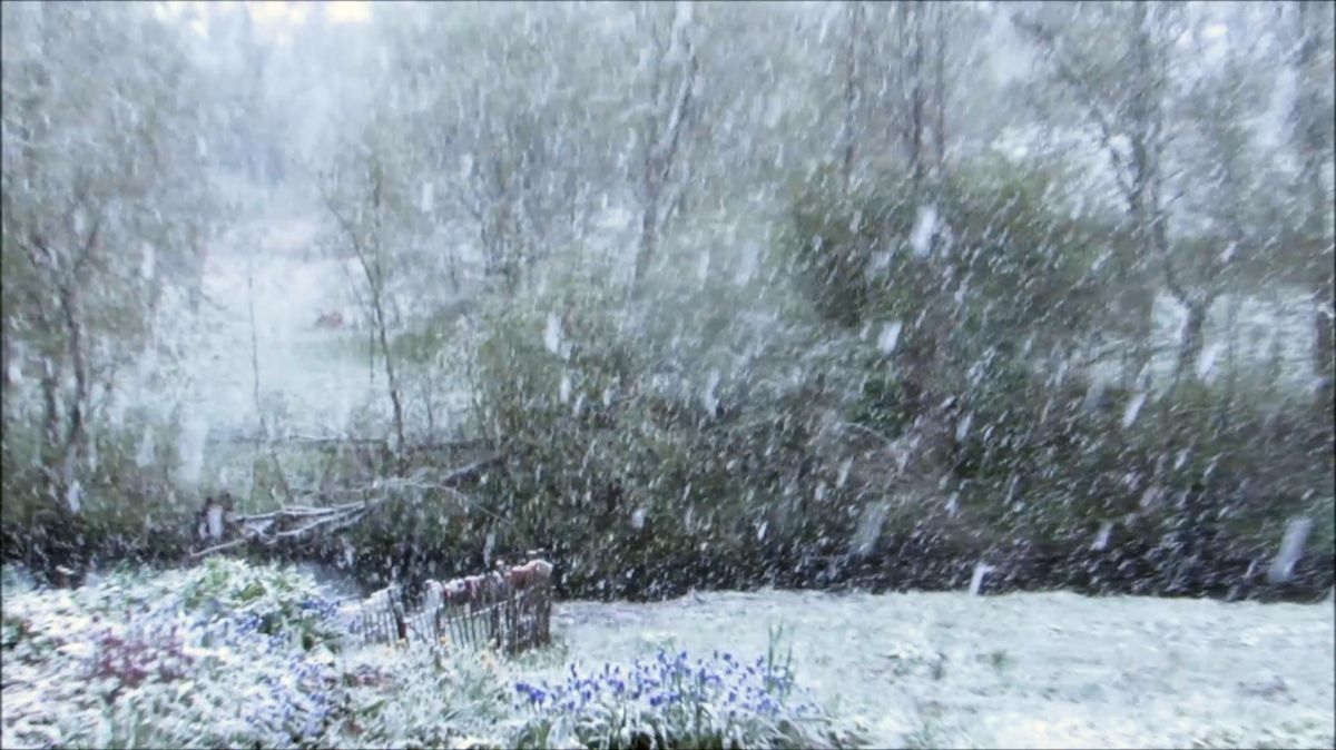 Майская непогода. 8 мая 2025 года смотреть онлайн