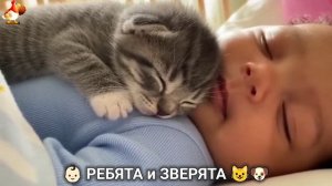 Ребята и зверята от ИИ милое видео для души и радости 👶🏻😺🐶 (15)