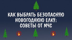 Как выбрать безопасную новогоднюю елку советы от МЧС