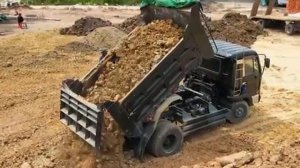 Самосвалы заполняют пруд, ведутся масштабные земляные работы и обустройство территории