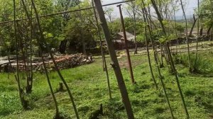 5,6 мая 2025г.Высадила все помидоры на улицу.Выкосила весь участок.