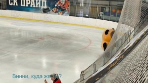 новый год! на ледовой арене