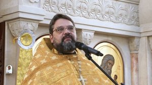 2025.12.28  Память сщмч. Илариона, архиеп. Верейского. Воскресная проповедь иер. Димитрия Сафонова