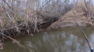 🎣ПЕРВАЯ РЫБАЛКА В ОКТЯБРЕ 2025🎣fishing#туризм#природа#ловля#рыбалка#щука#ловлящуки#ночевка#Чулым#