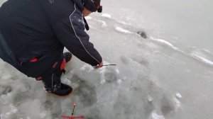 Основной водоём.Форель