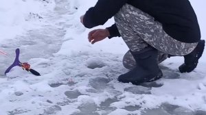 VID_20251228_091505_263