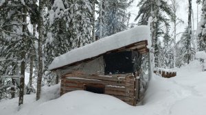 ЖИВЁМ НА ДАЛЬНЕЙ ИЗБЕ. ТРУДОВЫЕ ОХОТНИЧЬИ БУДНИ. ЕСТЬ РЕЗУЛЬТАТЫ.