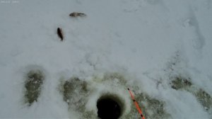 Первый выезд на зимнюю рыбалку