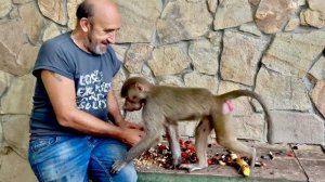 Влад спешит к своей курочке-Люсе, брошенной Елисеем, несет ей вкусняшки)))