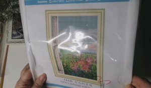 20 вышивальных наборов
 Джой Сандей, нанесенка