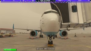 MSFS2024, PMDG 738 NEW, GSX, Vatsim, PBD005, Astana(UACC) - Novosibirsk(UNNT)
