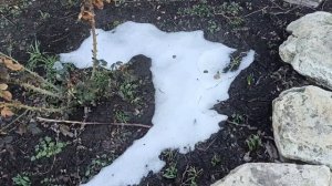 6,7 марта 2025г.Мой дом. Наконец Веснаааа))