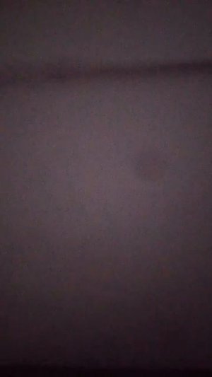 Перестрелка с соседом