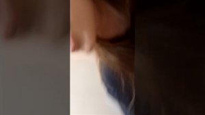 Пранк над Марком