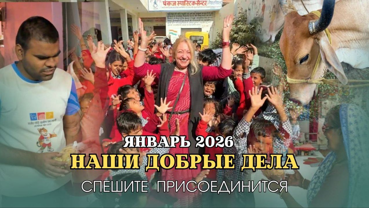 НАШИ ДОБРЫЕ ДЕЛА | ЯНВАРЬ 2026 смотреть онлайн
