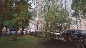 Дождливая осень 2025 (часть 4)