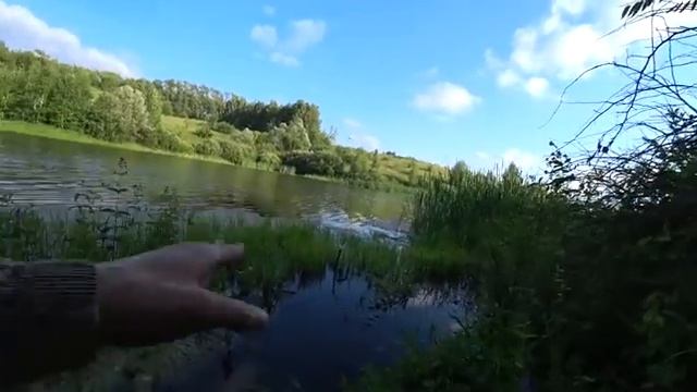 Рыбалка из детства. Активный клёв карася на поплавочную удочку. смотреть онлайн