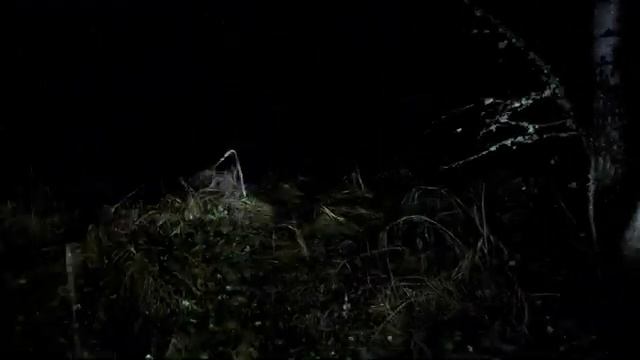 Река Даугава (Западная Двина).Рыбалка в Латгалии. смотреть онлайн