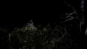 Река Даугава (Западная Двина).Рыбалка в Латгалии.