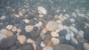 С Мамой на САП доске.