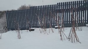 28 декабря  Деревня