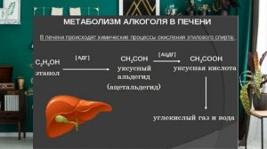 Передается ли алкоголизм по наследству  Азиатский ген