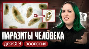 ПАРАЗИТЫ ЧЕЛОВЕКА ДЛЯ ОГЭ ПО БИОЛОГИИ 2026💥