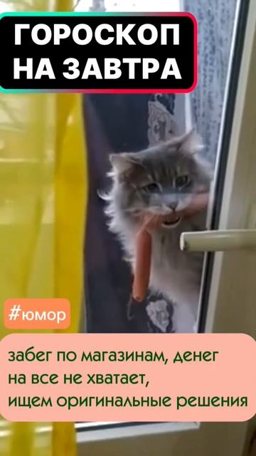 #юмор #гороскопсегодня #мем #котики смотреть онлайн