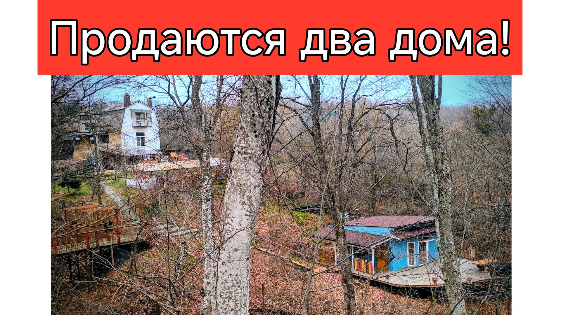 170 Продаются два дома на краю леса в предгорье Кавказских гор.