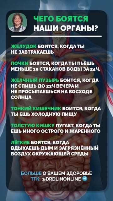 Не делайте ЭТОГО для здоровья ваших ОРГАНОВ! #здоровье #профилактика смотреть онлайн