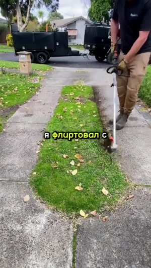 #истрия #реддит