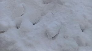 ЗИМНЕЕ УТРО